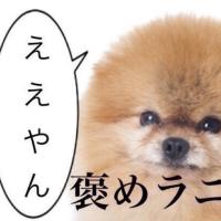 えことん